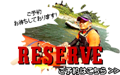 RESERVE